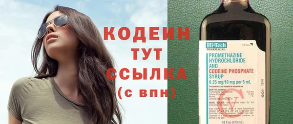 индика Покачи