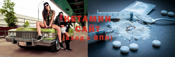 прущие грибы Абаза
