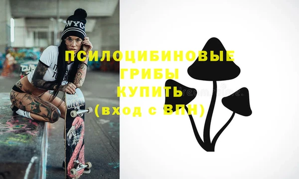 прущие грибы Абаза