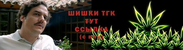 тгк Алексин