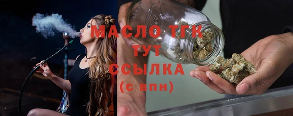 прущие грибы Абаза