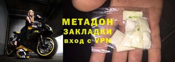 прущие грибы Абаза