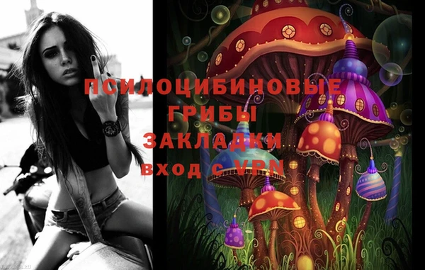 тгк Алексин