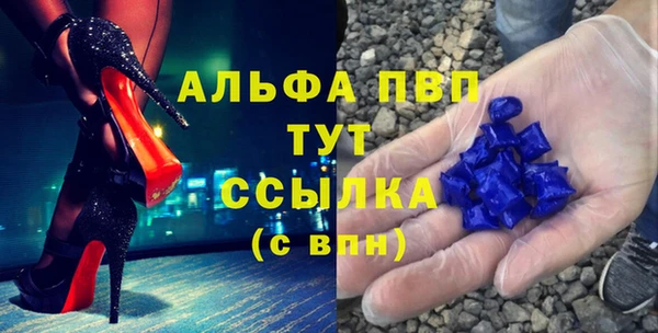 прущие грибы Абаза