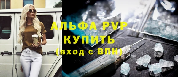 прущие грибы Абаза