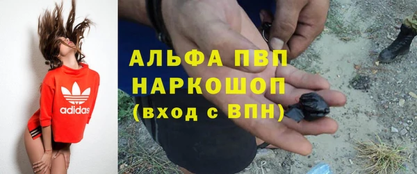 прущие грибы Абаза