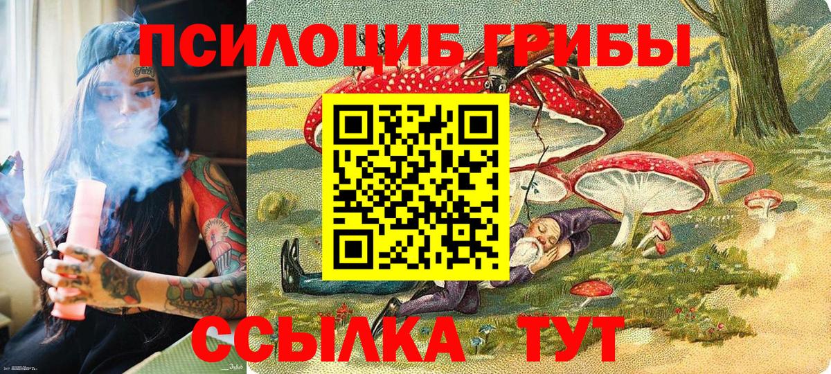 Псилоцибиновые грибы мицелий Югорск