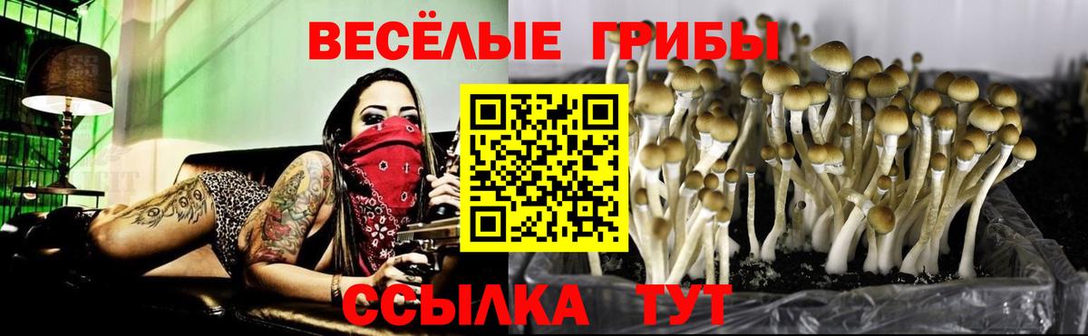 Псилоцибиновые грибы MAGIC MUSHROOMS  Вход с VPN  Югорск 